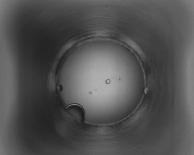 X0000101681067200807101416