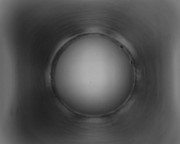 X0000101681068200807101416