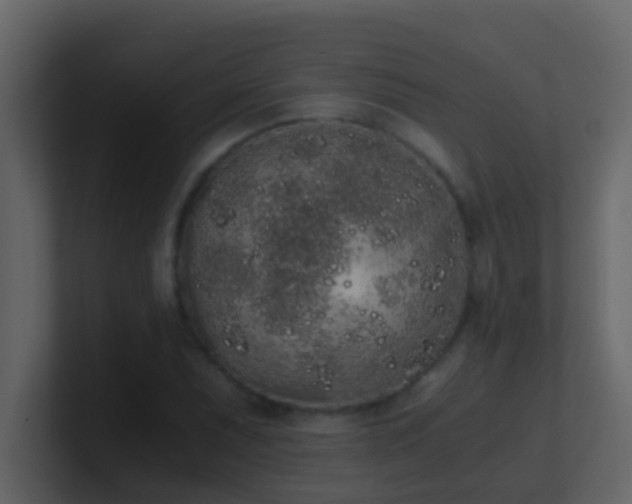 X0000101681071200807101416