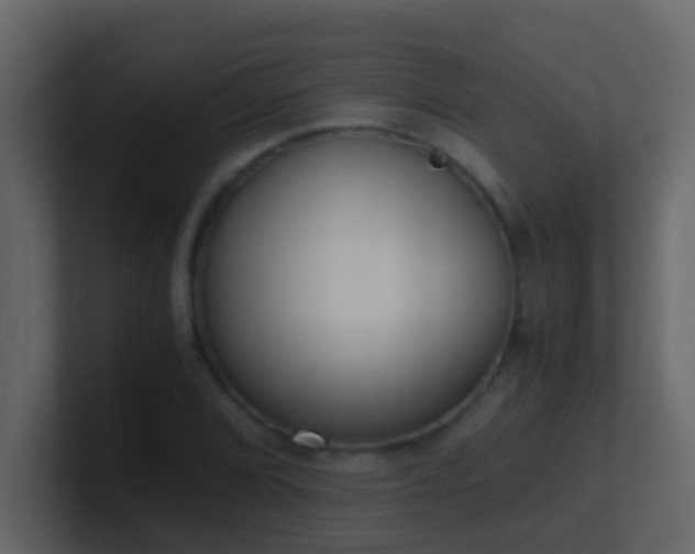 X0000101681072200807101416