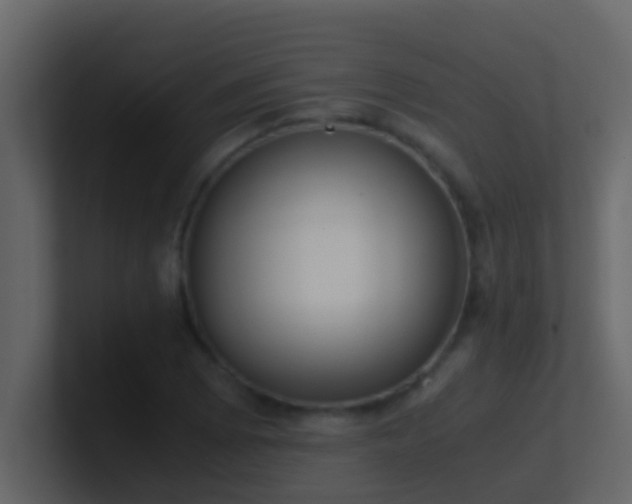 X0000101681073200807101416