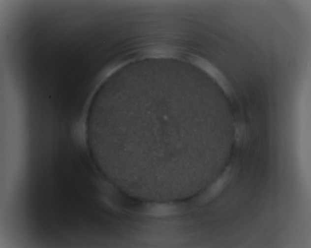 X0000101681074200807101416