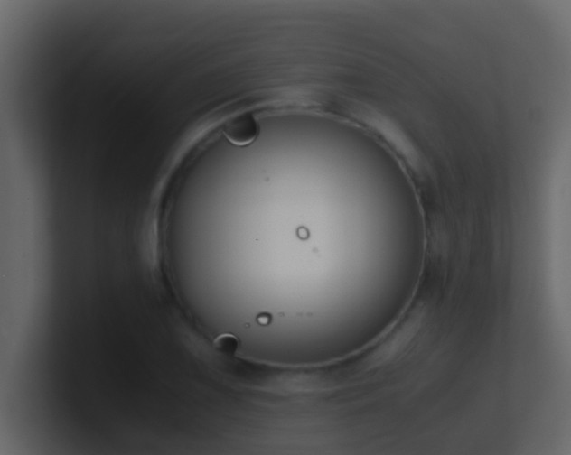 X0000101681075200807101416