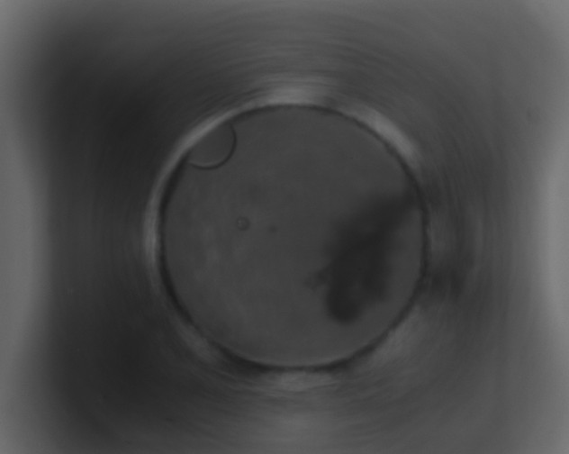 X0000101681077200807101416