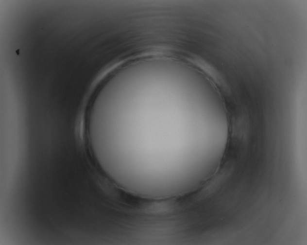 X0000101681078200807101416