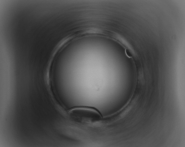 X0000101681082200807101416