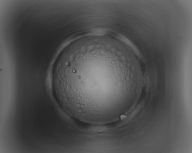 X0000101681083200807101416