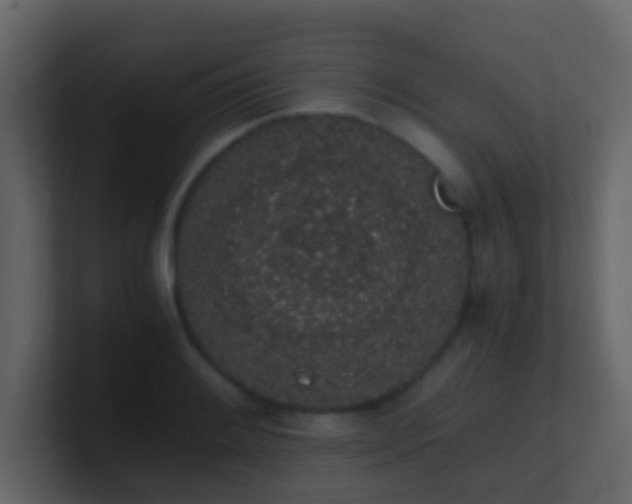 X0000101681084200807101416