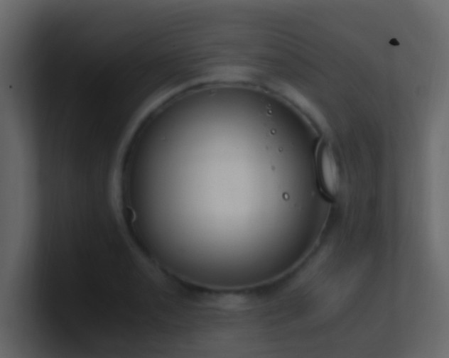 X0000101681085200807101416