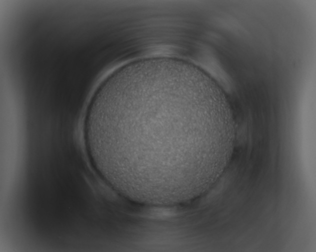 X0000101681086200807101416