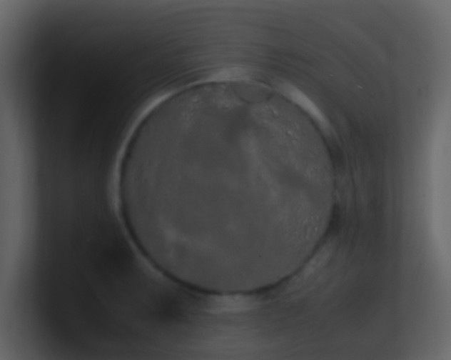 X0000101681087200807101416