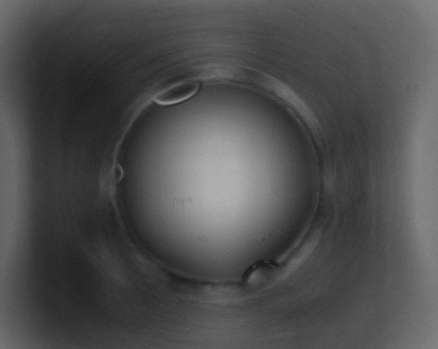 X0000101681089200807101416