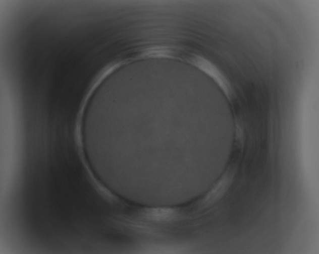 X0000101681090200807101416