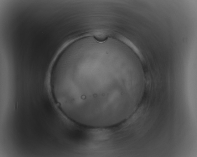 X0000101681091200807101416