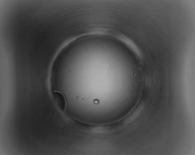 X0000101681093200807101416