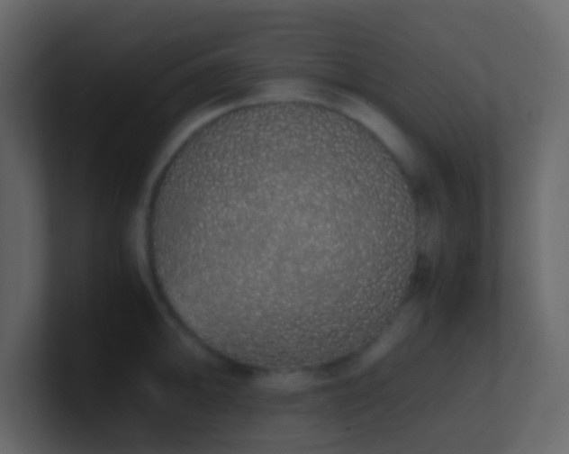 X0000101681094200807101416