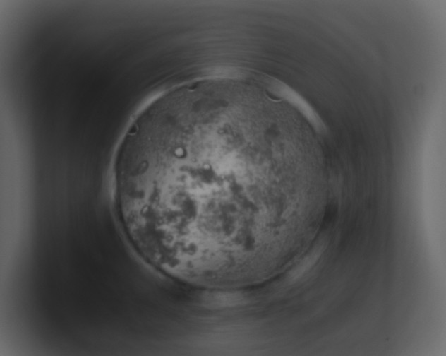 X0000101681095200807101416