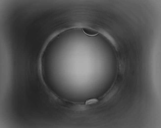 X0000101681096200807101416