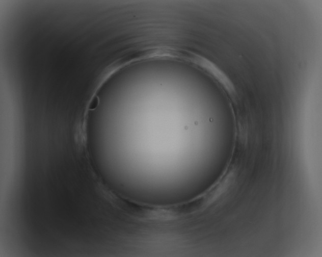 X0000101681097200807101416