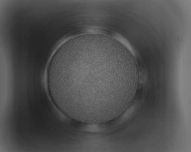 X0000101681098200807101416