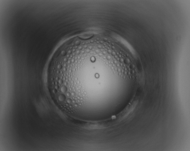 X0000101681099200807101416