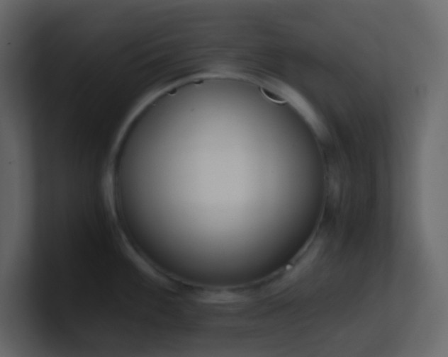 X0000101681100200807101416