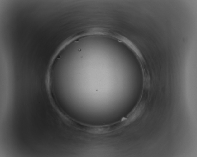 X0000101681101200807101416