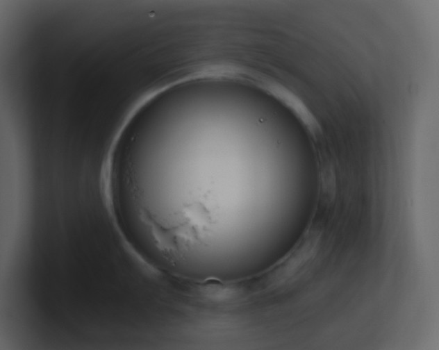 X0000101681103200807101416