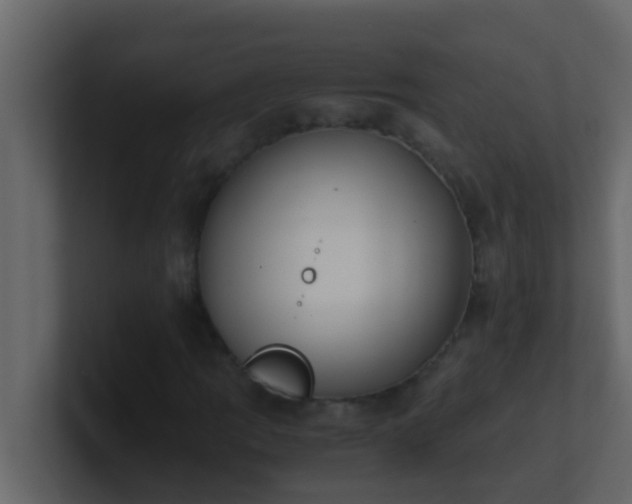 X0000101681109200807101415