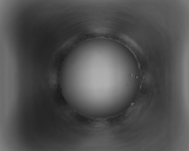 X0000101681110200807101415