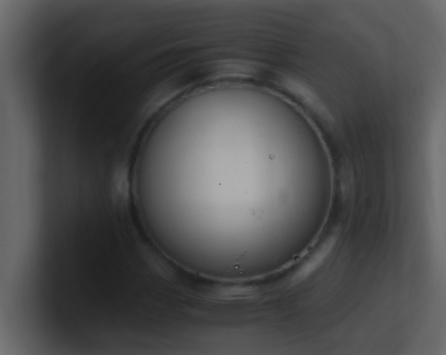 X0000101681113200807101415