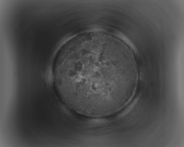 X0000101681117200807101415