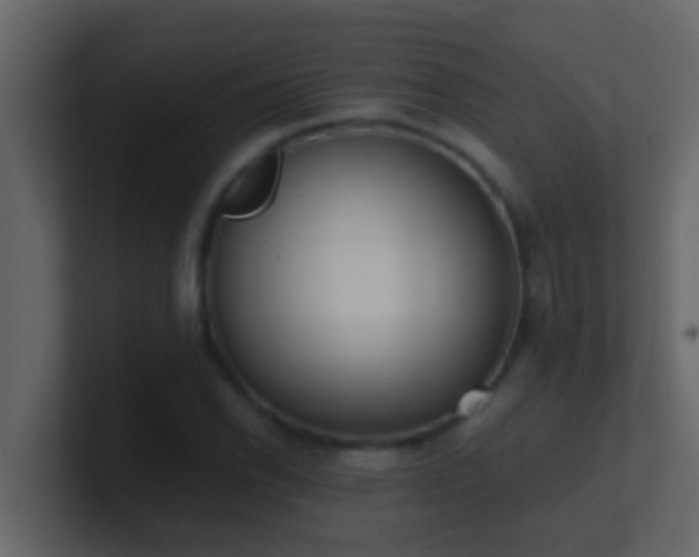 X0000101681118200807101415