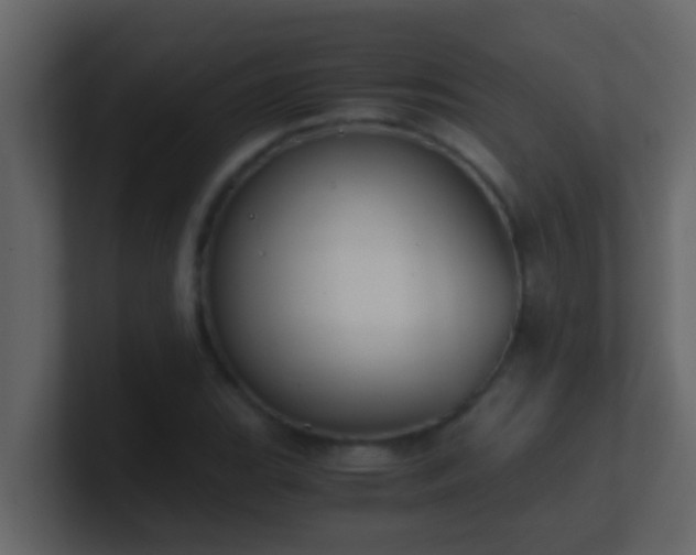 X0000101681119200807101415