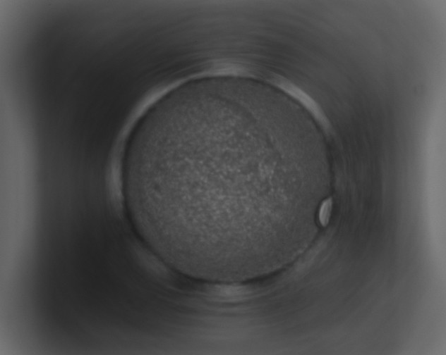 X0000101681120200807101416