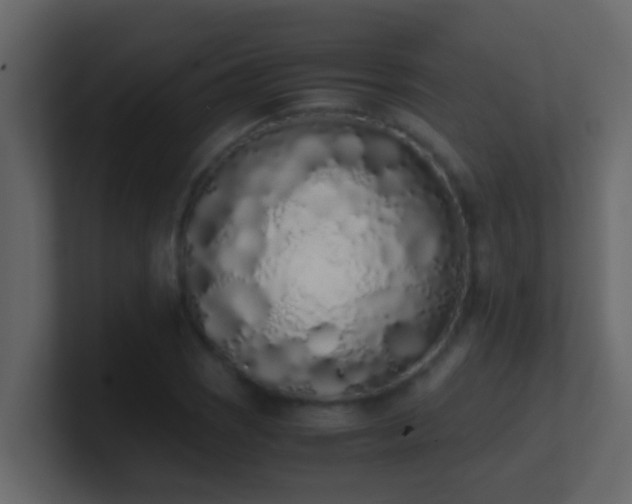 X0000101681121200807101416