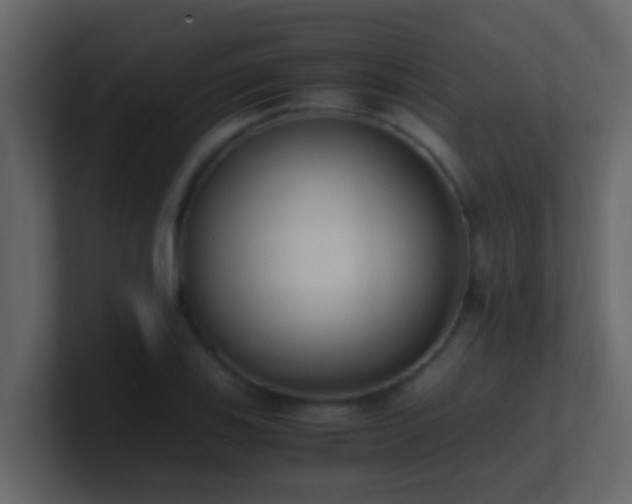 X0000101681123200807101416