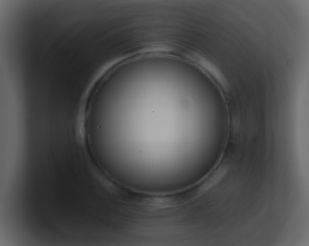 X0000101681124200807101416