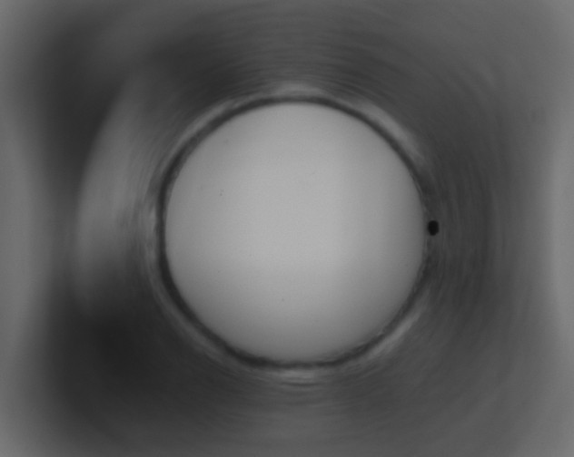 X0000101681126200807101416