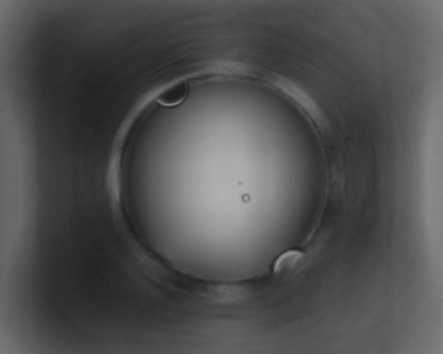 X0000101681128200807101416