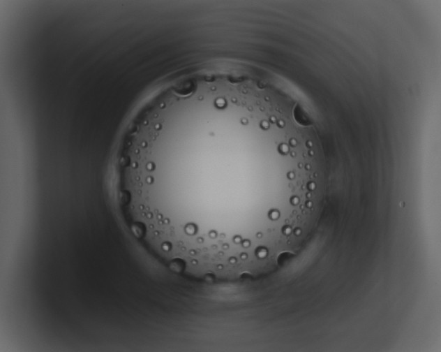 X0000101681130200807101416