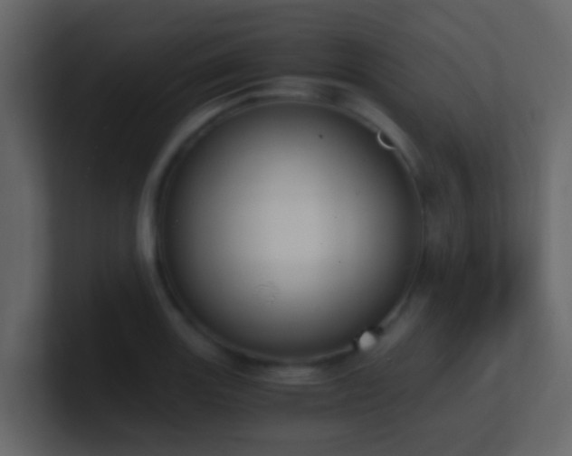 X0000101681131200807101416