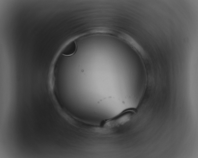 X0000101681132200807101416