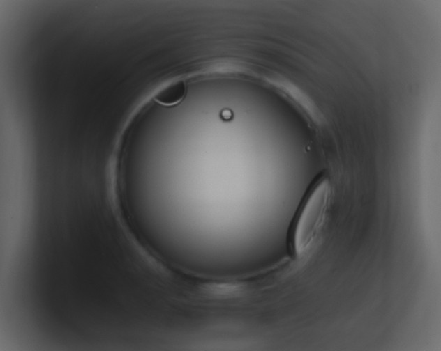 X0000101681134200807101416