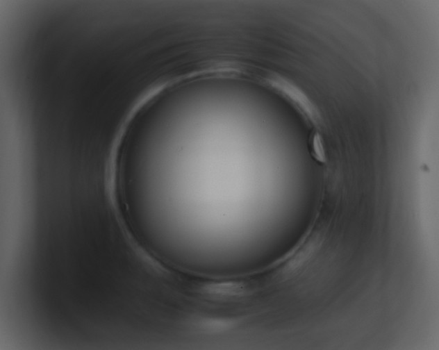 X0000101681135200807101416