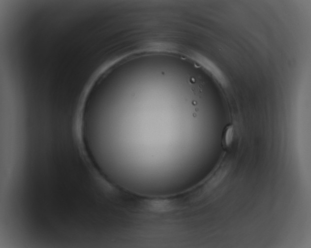 X0000101681136200807101416