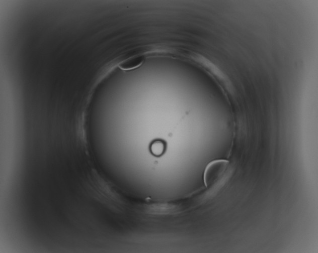 X0000101681137200807101416