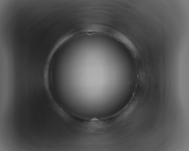 X0000101681138200807101416