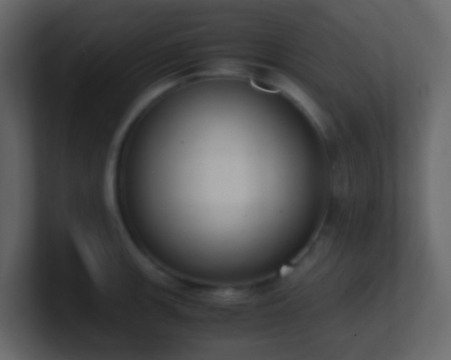 X0000101681139200807101416