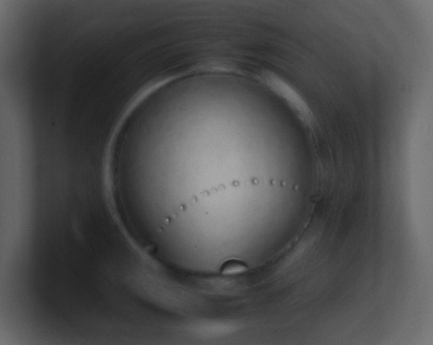 X0000101681141200807101416